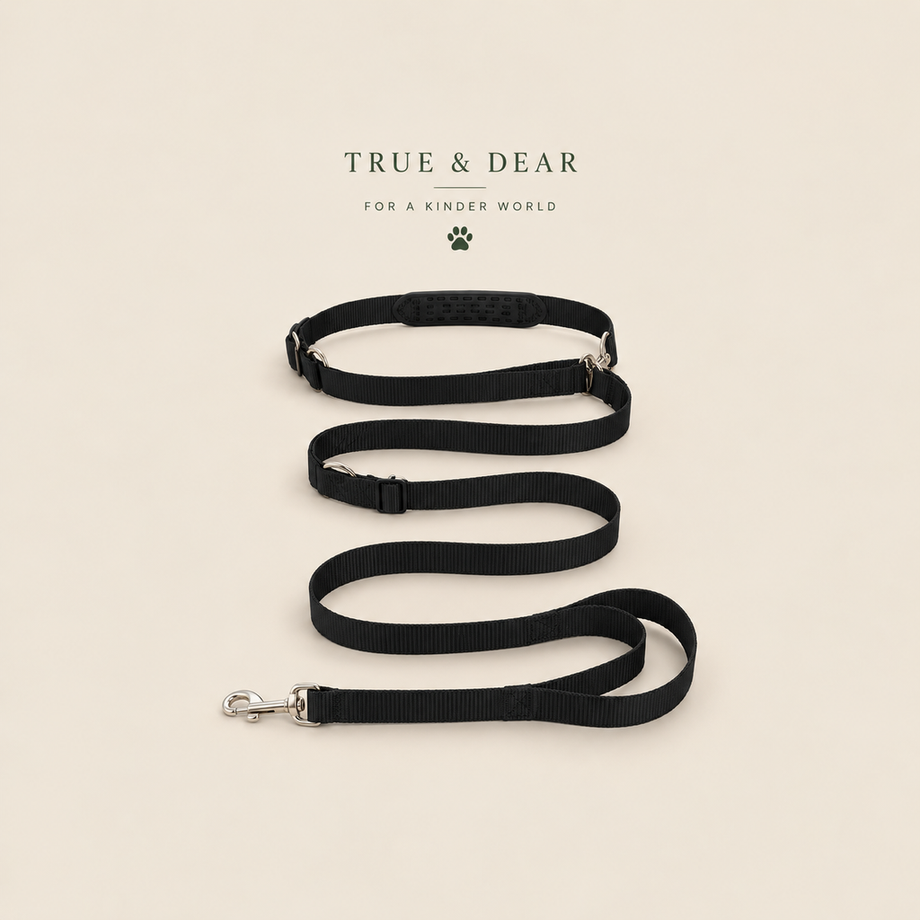 The Roamer — Hands-Free Dog Leash