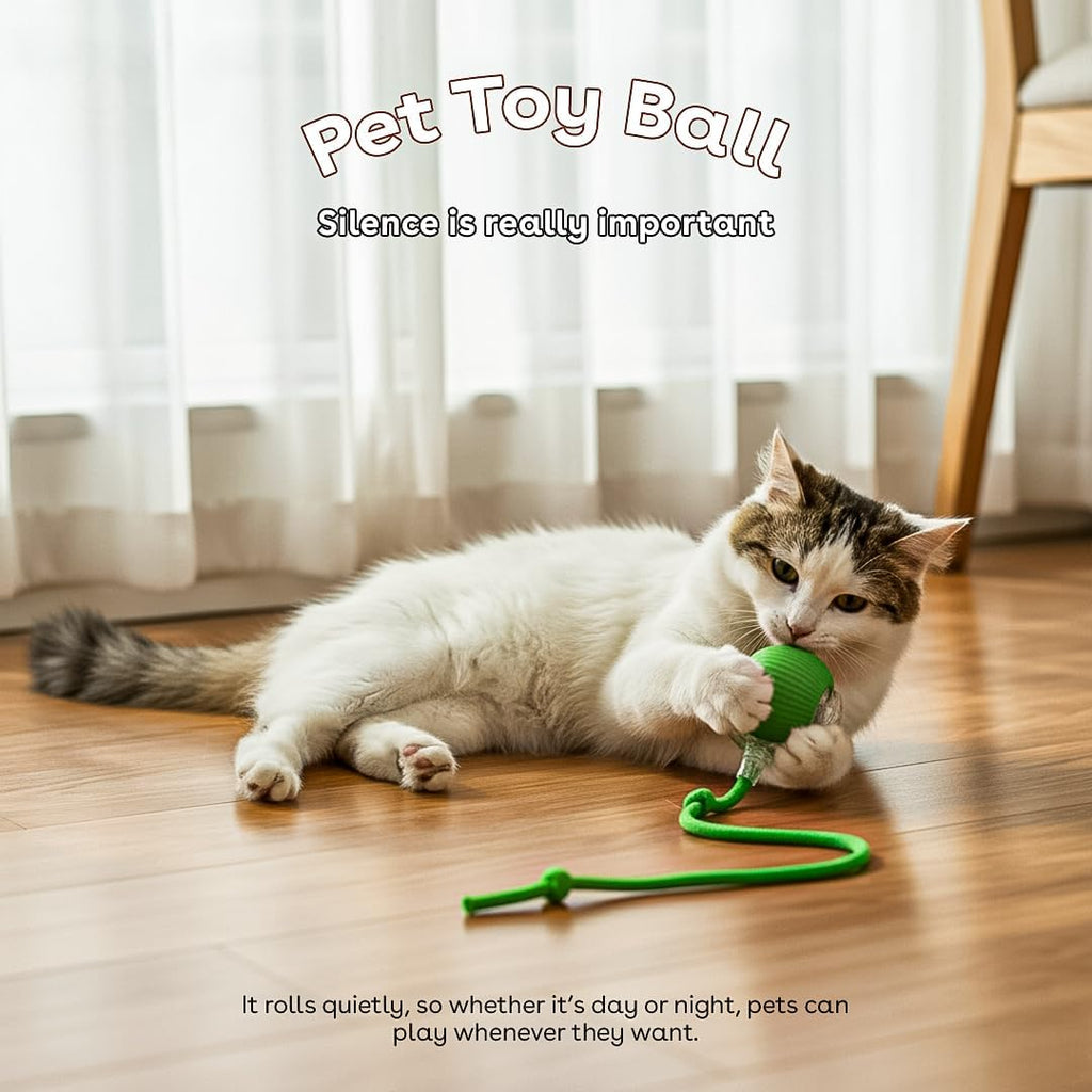 Interactive Cat Toy Ball, Automatic Intercative Cat Toys for Indoor Cats, the 3Rd Generation Agile Moving Cat Ball with Elastic Mesh Tail, Toys for Indoor Adult Cats - Pack of 3 (Red, Green, Blue)