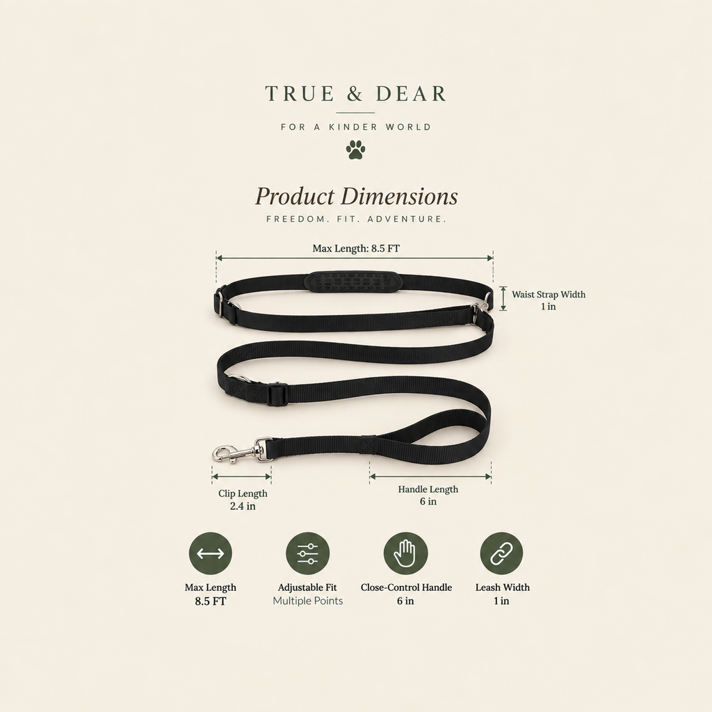 The Roamer — Hands-Free Dog Leash