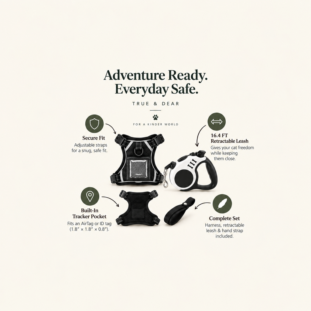 The Explorer — Escape-Proof Cat Harness & Leash Set