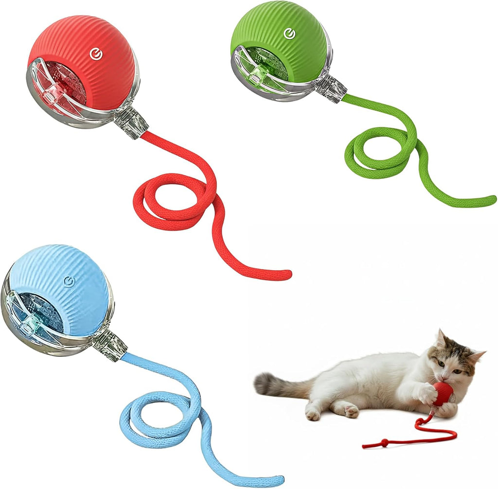 Interactive Cat Toy Ball, Automatic Intercative Cat Toys for Indoor Cats, the 3Rd Generation Agile Moving Cat Ball with Elastic Mesh Tail, Toys for Indoor Adult Cats - Pack of 3 (Red, Green, Blue)