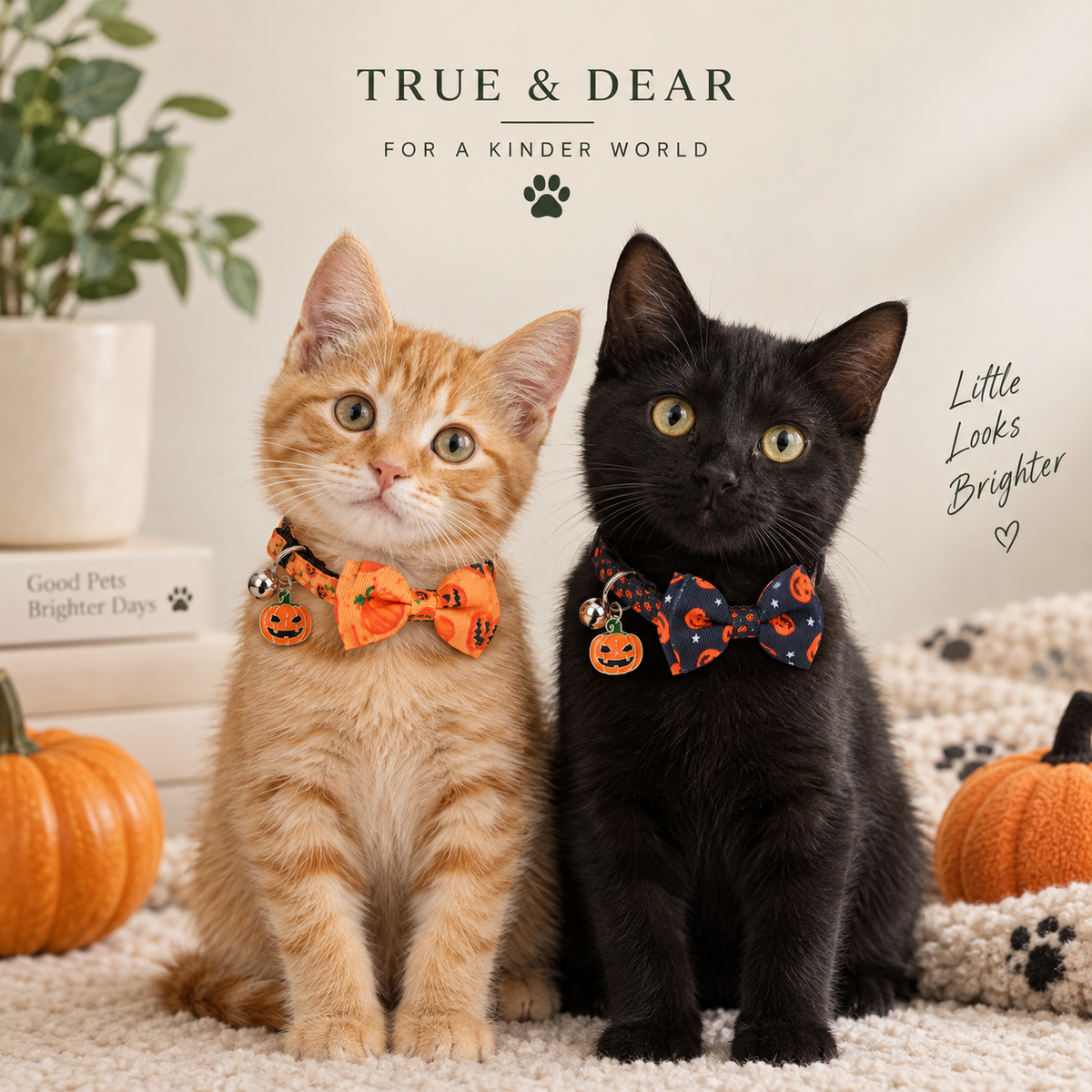 The Boo — Halloween Cat Collar Set