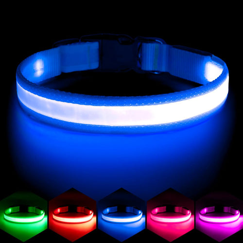 LED Dog Collar, Light up Dog Collar Adjustable USB Rechargeable Super Bright Safety Light Glowing Collars for Dogs(Small,Blue)
