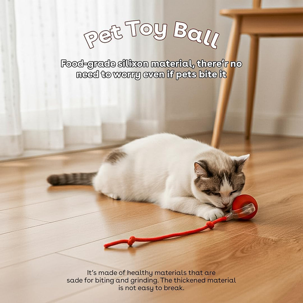 Interactive Cat Toy Ball, Automatic Intercative Cat Toys for Indoor Cats, the 3Rd Generation Agile Moving Cat Ball with Elastic Mesh Tail, Toys for Indoor Adult Cats - Pack of 3 (Red, Green, Blue)
