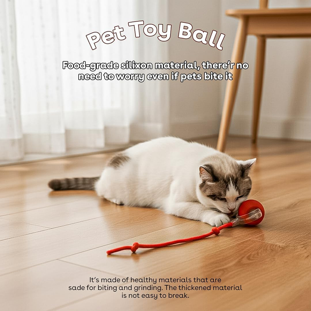 Interactive Cat Toy Ball, Automatic Intercative Cat Toys for Indoor Cats, the 3Rd Generation Agile Moving Cat Ball with Elastic Mesh Tail, Toys for Indoor Adult Cats - Pack of 3 (Red, Green, Blue)